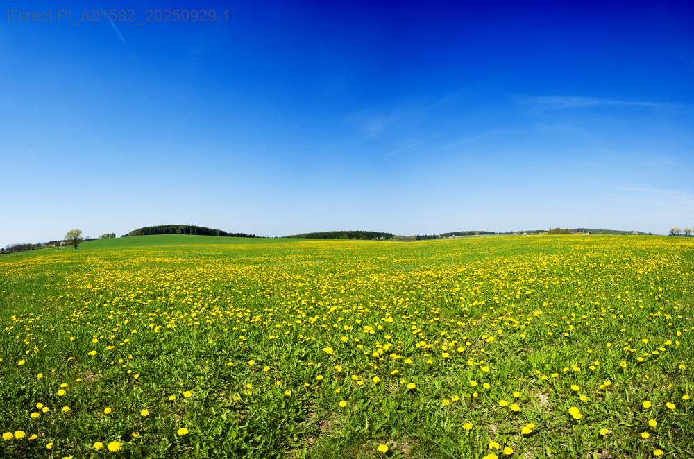 5種風水佈局設計推薦與價格解析